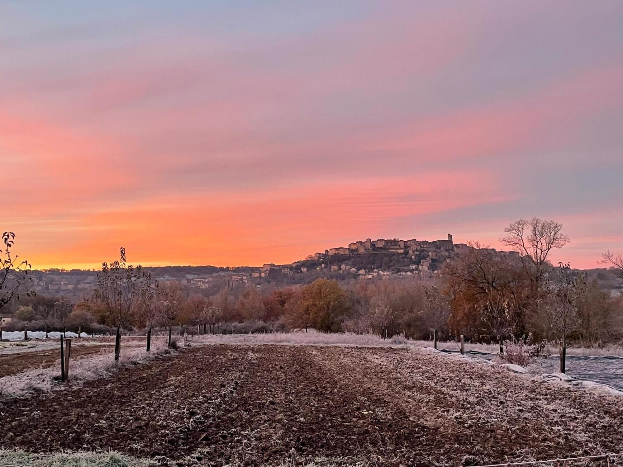 Gite A La Ferme De Verdurette Cordes-Sur-Ciel Exterior photo
